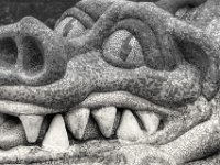 Große Augen  PENTAX K-3 Mark III Monochrome, SMC PENTAX-FA 1.8/77 Limited - 05.09.2024 -