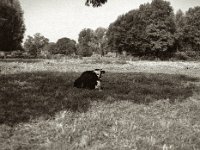 Sie hört meinen Gruß  Pentax 645N, SMC FA 2.8/75, ADOX CHS100 II   - 06.09.2024 -