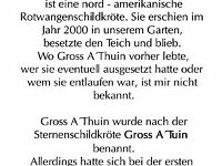 Gross A Thuin