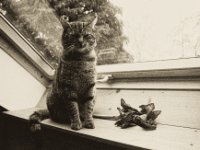 Mito  Pentax LX, SMC 2.8/24; Foma Retropan 320@500 - 11.01.2019 -