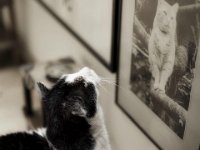 Betrachtung II  Pentax K-1, HD Pentax-DFA* 1.4/50 SDM AW  - 01.11.2023 -