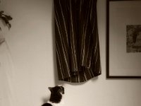 Betrachtung I  Pentax K-1, HD Pentax-DFA* 1.4/50 SDM AW  - 01.11.2023 -