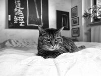 Alice  Pentax K-1, HD PENTAX - DA* 2.8/ 11-18 ED DC AW  - 27.05.2025 -