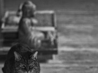 Alice  PENTAX K-3 Mark III Monochrome, PENTAX TAKUMAR (BAYONET) 2.5/135  - 02-06.2025 -
