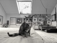 Was ist ?  PENTAX K-3 Mark III Monochrome, HD PENTAX - DA* 2.8/ 11-18 ED DC AW  - 27.05.2024 -