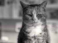 Skepsis  PENTAX K-3 Mark III Monochrome, HD PENTAX - D FA* 1.4/50 SDM AW  - 24.10.2024 -