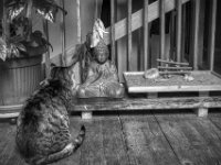 Meditation  PENTAX K-3 Mark III Monochrome, SMC PENTAX-FA 1.8/31 AL  Limited  - 23.11.2024 -