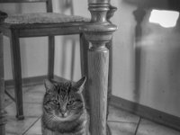 Mito  PENTAX K-3 Mark III Monochrome, HD PENTAX - DA* 2.8/16-50 ED PLM AW - 03.01.2025 -