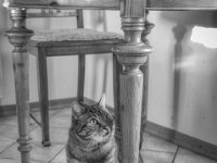 Wer ist da oben?  PENTAX K-3 Mark III Monochrome, HD PENTAX - DA* 2.8/16-50 ED PLM AW - 03.01.2025 -