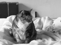 Middle  PENTAX K-3 Mark III Monochrome, HD PENTAX - DA* 2.8/16-50 ED PLM AW  - 28.02.2025 -