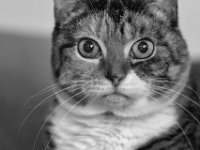 Middle  PENTAX K-3 Mark III Monochrome, HD PENTAX - SMC Pentax FA 1.8/77 Limited   - 02.03.2025 -