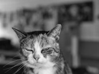 Wenn Blicke .....  PENTAX K-3 Mark III Monochrome, HD PENTAX - DA* 2.8/16-50 ED PLM AW - 31.07.2025 -