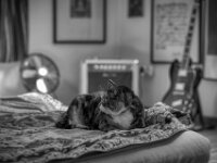 Rückblick  PENTAX K-3 Mark III Monochrome, HD PENTAX - D FA* 1.4/50 SDM AW  - 15.09.2025 -