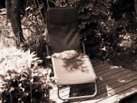 Mittagschlaf  Pentax 67II, SMC 2.4/105, Efke R100/64 - 04.06.2013 -