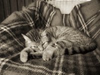 Ruhe mit Blick  PENTAX K-3 Mark III Monochrome,  HD PENTAX - DA* 2.8/ 11-18 ED DC AW   - 11.05.2024 -