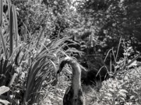 Abgang  PENTAX K-3 Mark III Monochrome,  HD PENTAX - DA* 2.8/ 11-18 ED DC AW   - 11.05.2024 -