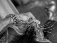 Gemeinsam auf der Gartenbank  PENTAX K-3 Mark III Monochrome,  HD PENTAX - DA* 2.8/ 11-18 ED DC AW   - 18.05.2024 -