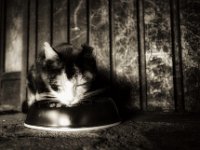 FuMao., es schmeckt  PENTAX K-3 Mark III Monochrome, HD PENTAX - DA* 2.8/ 11-18 ED DC AW  - 22.09.2024 -