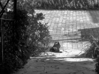 Wendung  PENTAX K-3 Mark III Monochrome, smc PENTAX-FA 43mm F1.9 Limited   - 01.10.2025 -