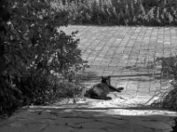 Entdeckt  PENTAX K-3 Mark III Monochrome, smc PENTAX-FA 43mm F1.9 Limited   - 01.10.2025 -