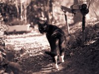 Vorgartenweg  Pentax 67II, SMC Takumar 2.8/150, Ilford HP5plus@250 - 17.03.2016 -