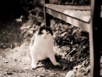 Sonniger Morgen  Pentax 67II, SMC Takumar 2.8/150, Fuji Acros 100II  - 19.09.2020 -