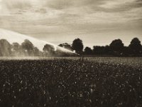 Wasserspender  Pentax K-1, D FA 2.8/24-70 ED SDM WR, grafische Bearbeitung  - 05.July 2019 -