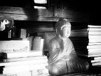 Wilder Efeu  Pentax K-01, Lochkamera Bearbeitung - 06.10.2016 - : Bücher, Buddha, Figur, Stillleben, Vertiko