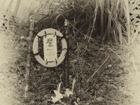 Sternchens Grab  Pentax K-01, Vintage-Platten-Umsetzung - 1.April 2016 - : Garten Erlenstraße, Grab, Grabstätte, Kater, Katze, Katzen, Sternchen, Torii