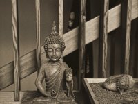 Die leere Haselnuss in der Hand  Pentax K-1, HD Pentax - DFA 2.8/ 24-70 ED SDM WR   - 29.10.2018 - : Bud, Buddha, Buddhismus, Figur, Wohnung, Zen