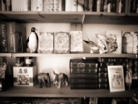 Pinguin und Freunde  Pentax Super A, Soligor C/D wide auto 2.8/20 MC, Ilford Pan 100 : Bücherregal, Figuren, Bücher, Stillleben, Regal