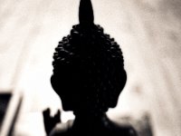 Schattenbuddha  Pentax K2, SMC 2.0/35, Bergger Pancro 400@1200