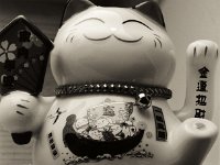 Maneki Neko  Canham DLC 45; Tele-Xenar 5.5/240, Calumet Film Holder (6x7) CN 2, Bergger Pancro400