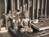 Zen, Buddha und Tulpen  Pentax 645N, 2.8/75, Gelbfilter, Bergger Pancro 400