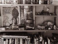 Books and Findings  Canham DLC 45; Apo Ronar 9.0/300, Bergger Pancro400  - 17.02.2022 -