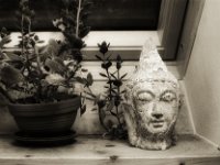 Mystik Licht  Pentax LX, SMC FA 1.9/43 Limited, Gelbfilter, ADOX CHSII  - 05.08.2023 -