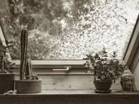 Schnee auf der Fensterscheibe  Fuji GS645S professional WIDE 60, Foma Retropan 320 soft   -13.03.2023 -