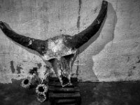 Minotaurus II  PENTAX K-3 Mark III Monochrome, SMC PENTAX-FA 1.8/31 AL Limited  - 06.10.2025  -