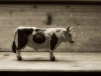 Findling  PENTAX K-3 Mark III Monochrome, SMC PENTAX-FA 1.9/43 Limited   - 28.07.2024 -