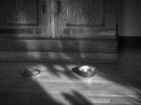 Futternäpfe  PENTAX K-3 Mark III Monochrome, HD PENTAX - D FA* 1.4/50 SDM AW  - 25.10.2024 -