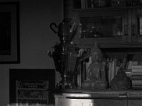 Guild im Morgenlicht  PENTAX K-3 Mark III Monochrome, SMC PENTAX-FA 1.9/43 Limited  - 25.10.2024 -