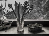Fensterbank  PENTAX K-3 Mark III Monochrome, HD PENTAX - DA* 2.8/ 11-18 ED DC AW  - 17.01.2025 -