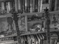 Schecter Geschwister  PENTAX K-3 Mark III Monochrome, HD PENTAX - D FA* 1.4/50 SDM AW - 26.01.2025 -