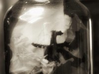 Welt im Glas  PENTAX K-3 Mark III Monochrome, HD PENTAX - D FA* 1.4/50 SDM AW - 26.01.2025 -