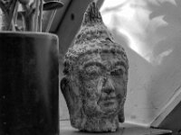 Das Gesicht erscheint im Morgenlicht  PENTAX K-3 Mark III Monochrome, SMC PENTAX-FA 1.9/43 Limited  - 08.04.2025 -