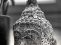 Buddha Kopf  PENTAX K-3 Mark III Monochrome, HD PENTAX - D FA* 1.4/50 SDM AW  - 17.05.2025 -