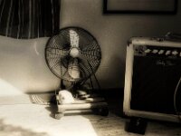 Windige Ecke im Stillstand  Pentax MZ-S, SMC PENTAX-FA 1.8/31 AL Limited, ADOX CHS 100 II  - 31.08.2025 -