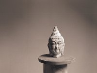 Buddha  Canham DLC 45, Apo Sironar N 5.6/150, Kodak 320 TXP/320 - 12.07.2012 -