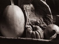 Kürbis und Zwiebel  Canham DLC 45; Tele-Xenar 5.5/240, Bergger Pancro400  - 05.01.2022 -