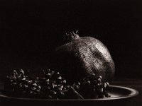 Fruit in the darkness  Canham DLC 45; Tele-Xenar 5.5/240, Bergger Pancro400@200  - 29.01.2022 -